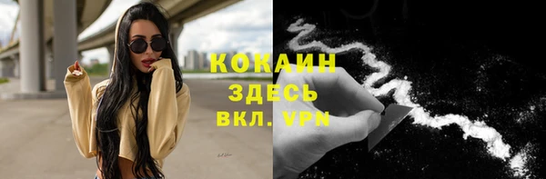 хмурый Верея