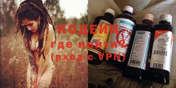 хмурый Верея