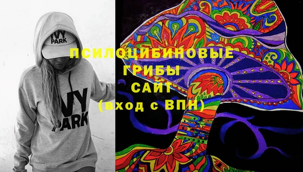 прущие грибы Семёнов
