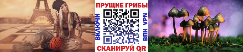 Галлюциногенные грибы ЛСД Камень-на-Оби